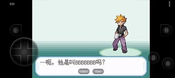 �ڴ�������Ҷ