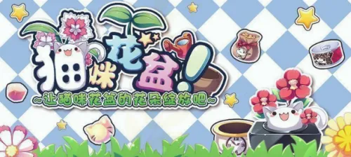 猫咪花盆2026官方最新版本 猫咪花盆2026官方最新版本