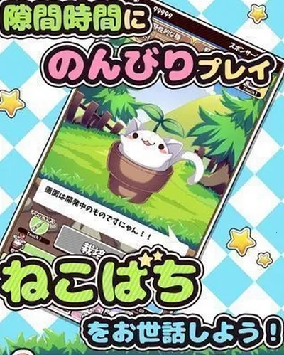 猫咪花盆2026官方最新版本 猫咪花盆2026官方最新版本