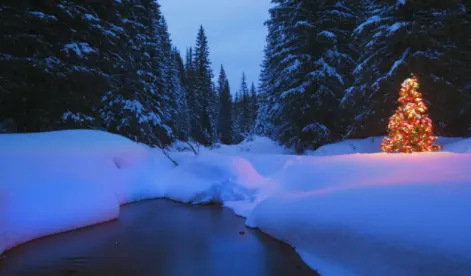 Ĵָ��ֽ2026���°汾