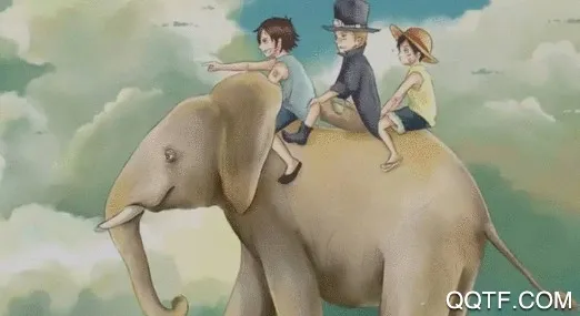 ����С˵2026���°汾