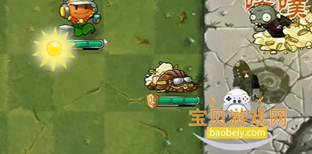 ֲ���ս��ʬ����潣������