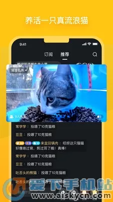 街猫2026官方最新版本 街猫2026官方最新版本