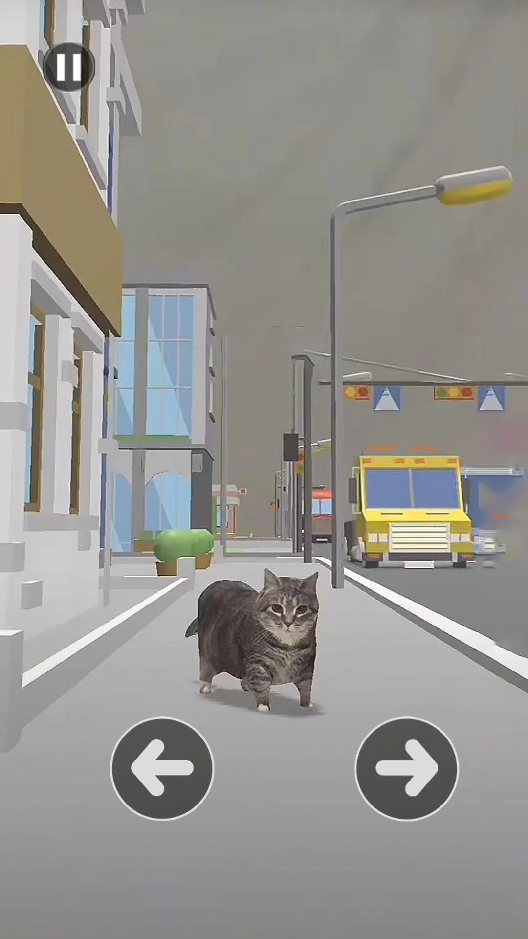 小猫过马路(猫咪闯关小游戏) 小猫过马路(猫咪闯关小游戏)