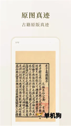 ʶ��ż�2026�ٷ�����