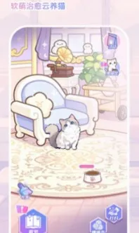 ����С��(����èС��Ϸ)