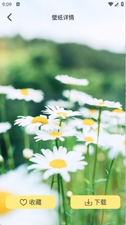 萌巨壁纸(壁纸个性化软件) 萌巨壁纸(壁纸个性化软件)