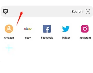 黑狮浏览器BL2026官方最新版本 黑狮浏览器BL2026官方最新版本