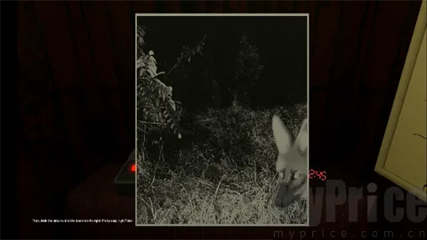 ����۲�Ա�ֲ���Ϸ