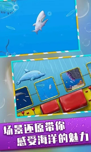 ��ζ���������