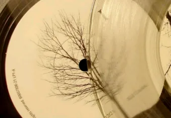 全民音乐播放器2026官方最新版本 全民音乐播放器2026官方最新版本