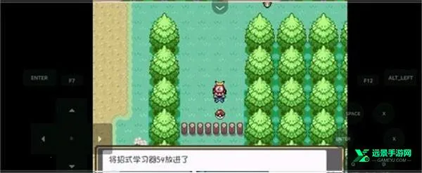 �ڴ�����ȼ֮��(������ð������)