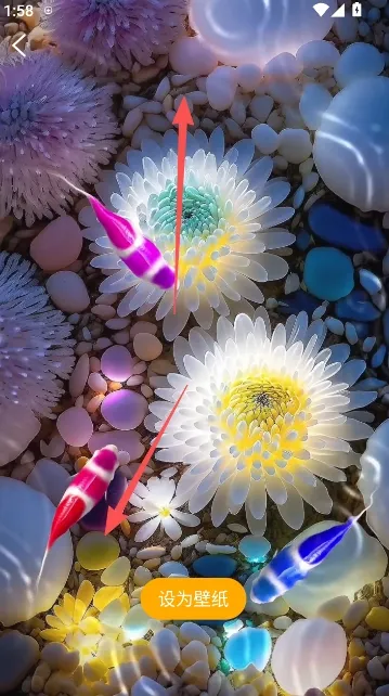 ��������ֽ2026���ذ�װ