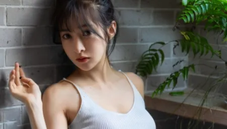 ����(���߽�����Ϸ)