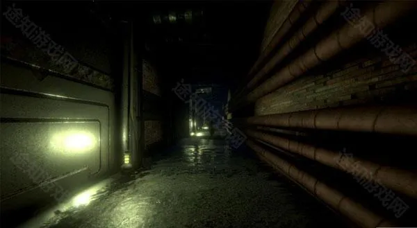 �������(����������Ϸ)