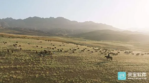 ȫ�ۺ�TV(���ܵ��Ӳ�������)