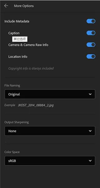 Lightroom(ͼƬ��������)