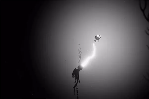 �����ֻ�������