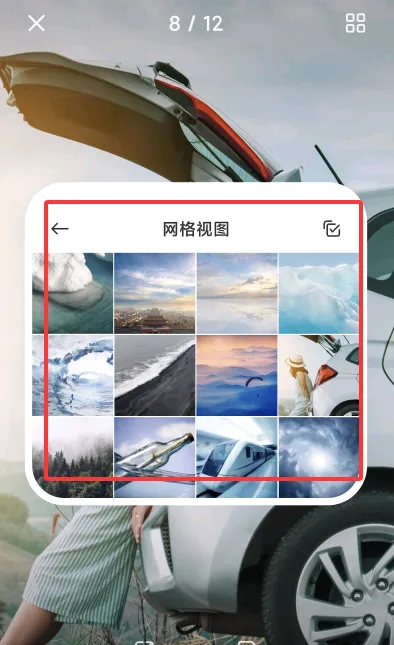 С����������������ֻ���