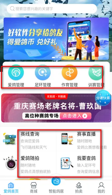 ������2026�ٷ����°汾