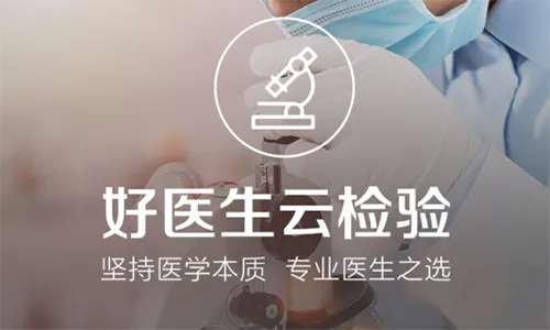 诊宝倍2026最新版本 诊宝倍2026最新版本
