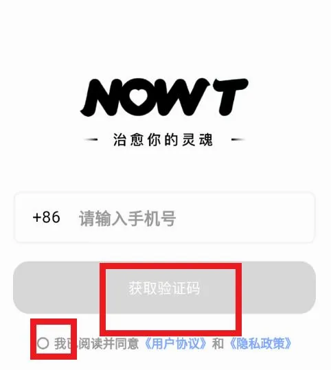 NOWT2026�ٷ����°汾