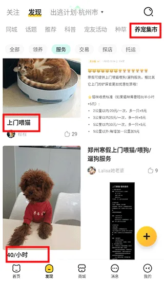 宠胖胖(养宠服务平台) 宠胖胖(养宠服务平台)