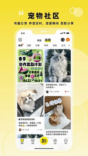 宠胖胖(养宠服务平台) 宠胖胖(养宠服务平台)