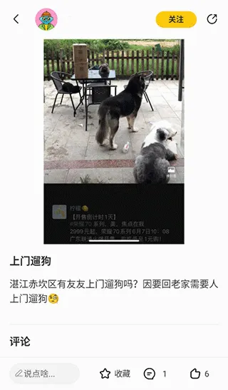 宠胖胖(养宠服务平台) 宠胖胖(养宠服务平台)