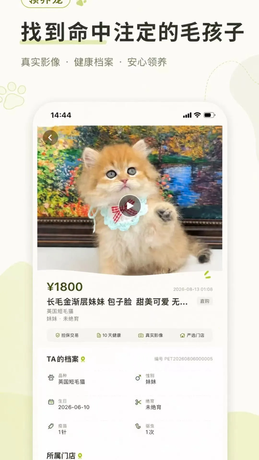 领养宠APP安卓版手机版 领养宠APP安卓版手机版